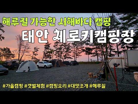 YouTube video from channel 치킨커리의 월간여행기★