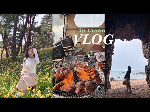 YouTube video from channel YEPPI콩