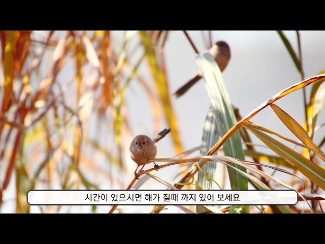 YouTube 1
