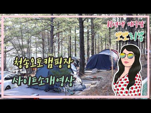 YouTube video from channel 뽀뽀리뽕 캠핑오지라퍼