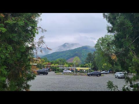 YouTube video from channel 놀go먹go