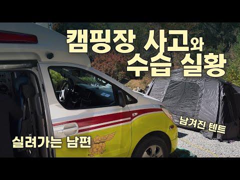 YouTube video from channel 캠핑장 고양이