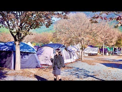 YouTube video from channel 졸리졸리Z JOLEEZ