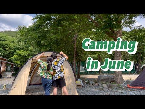 YouTube video from channel 불철쭈야daynight