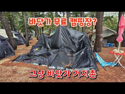 YouTube video from channel 피터팬TV peterpanTV